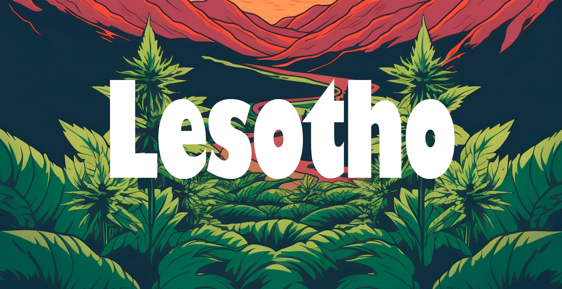 Lesotho cannabis 2