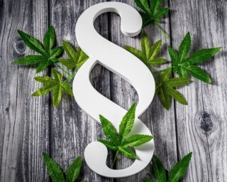  Stand der Cannabis Legalisierung