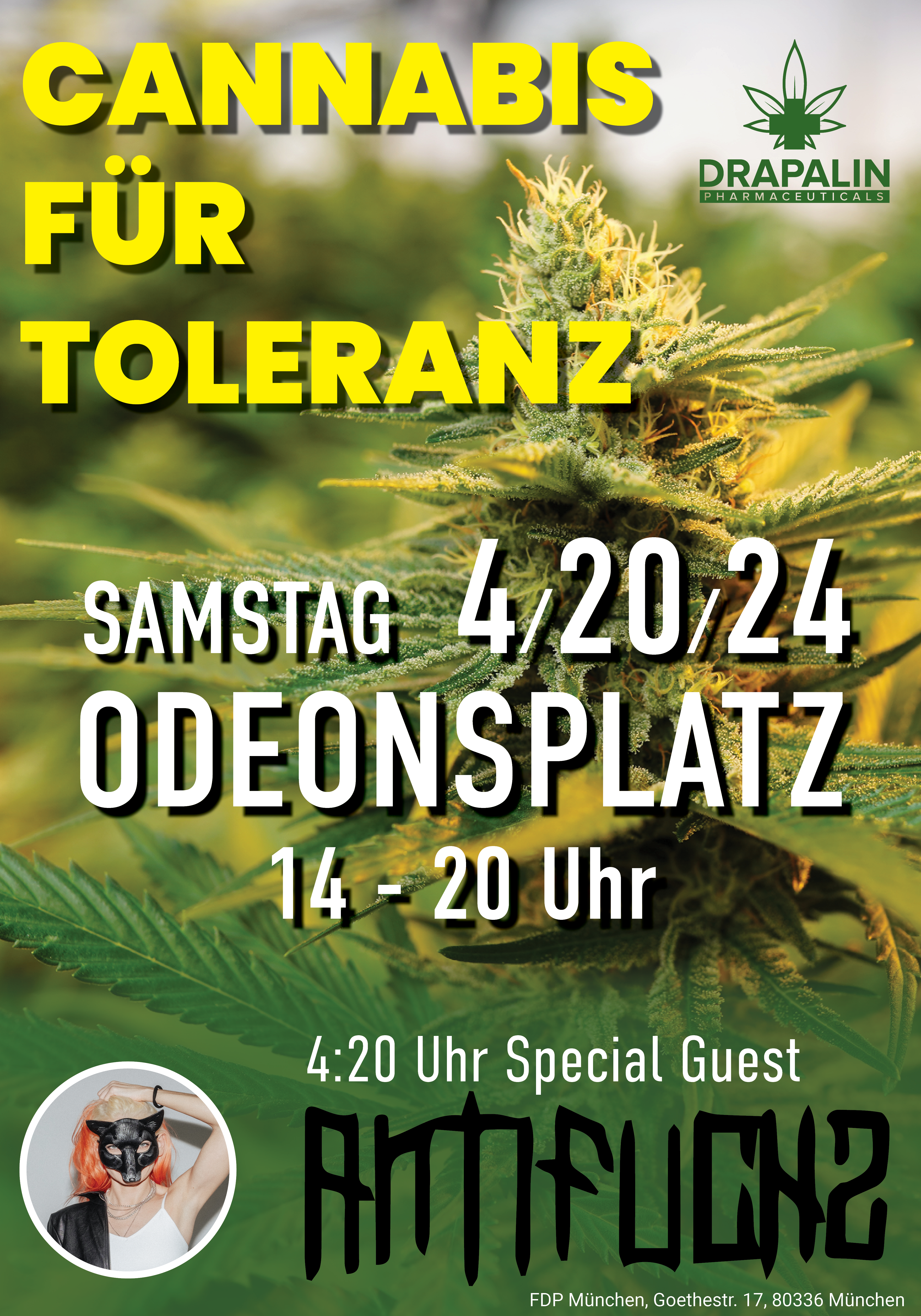 cannabis fur toleranz