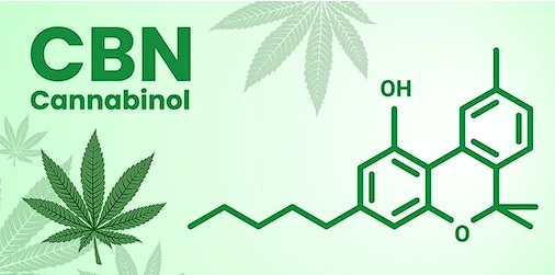 cannabinol
