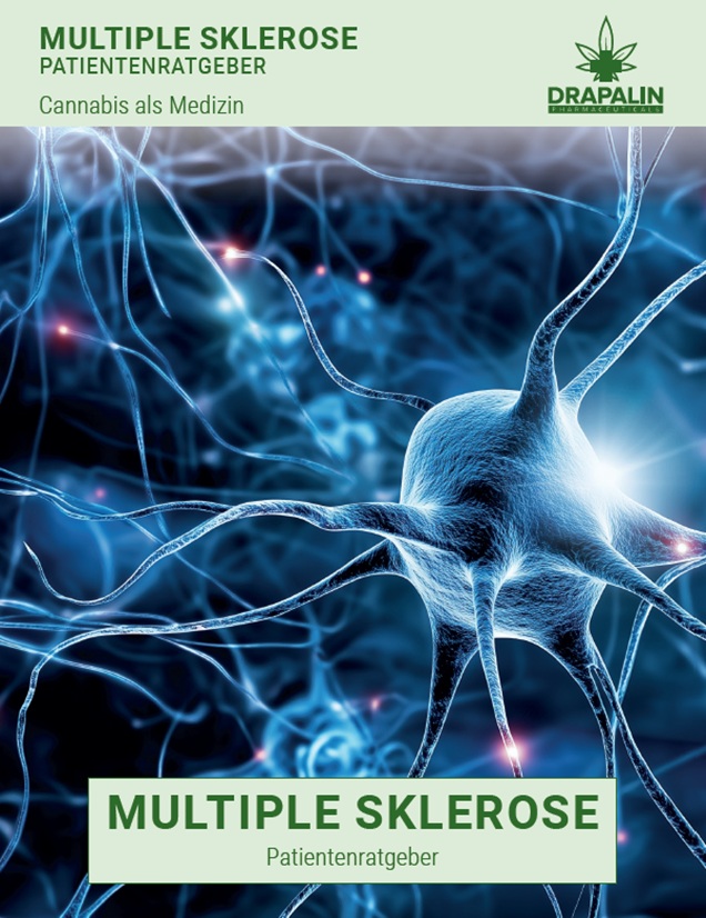 Demenz Patientenratgeber